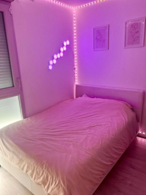 Chambre à louer avec salle de bain privative